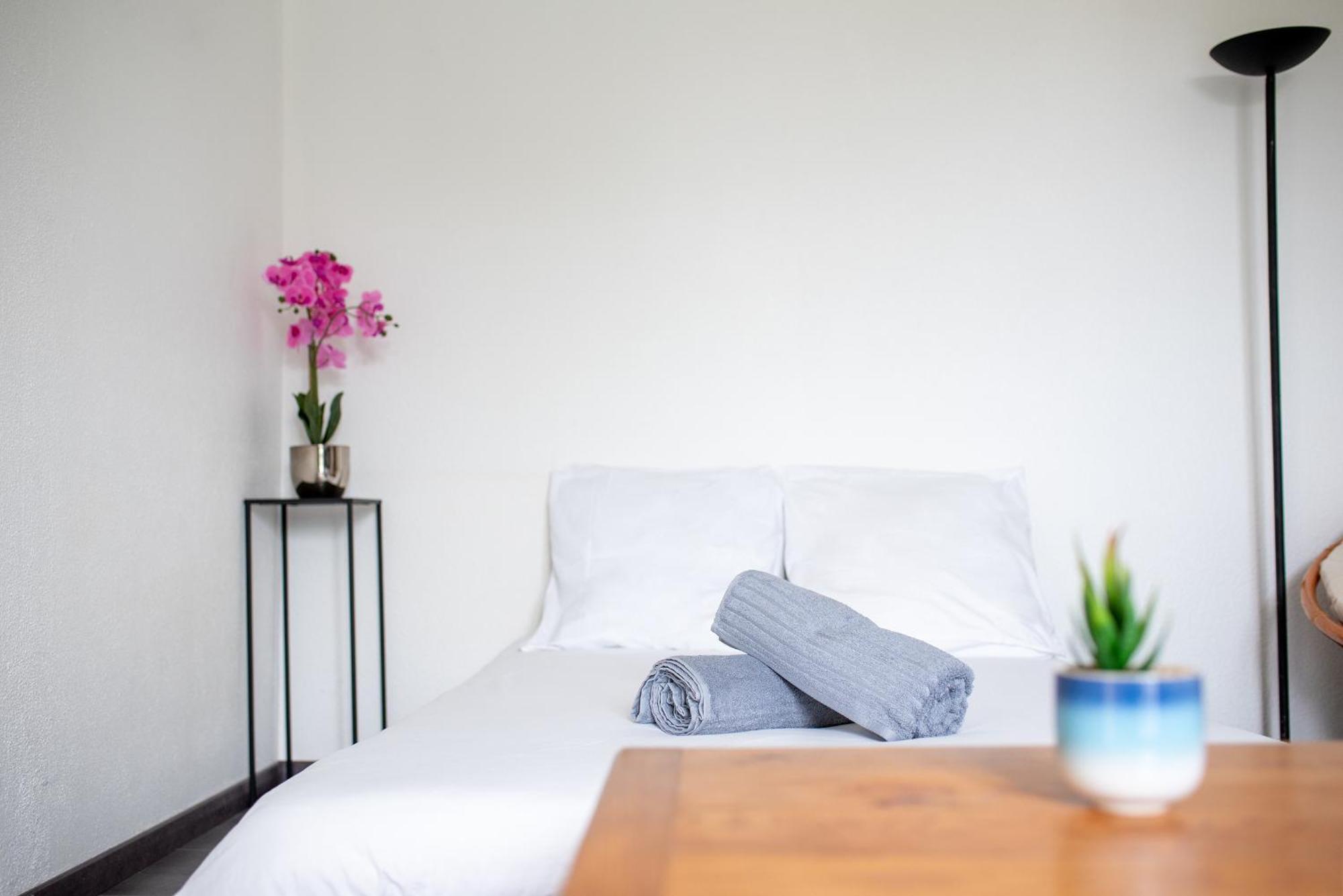 T2 Rangueil - Terrasse + 2 Parkings - 4 Personnes Leilighet Toulouse Eksteriør bilde